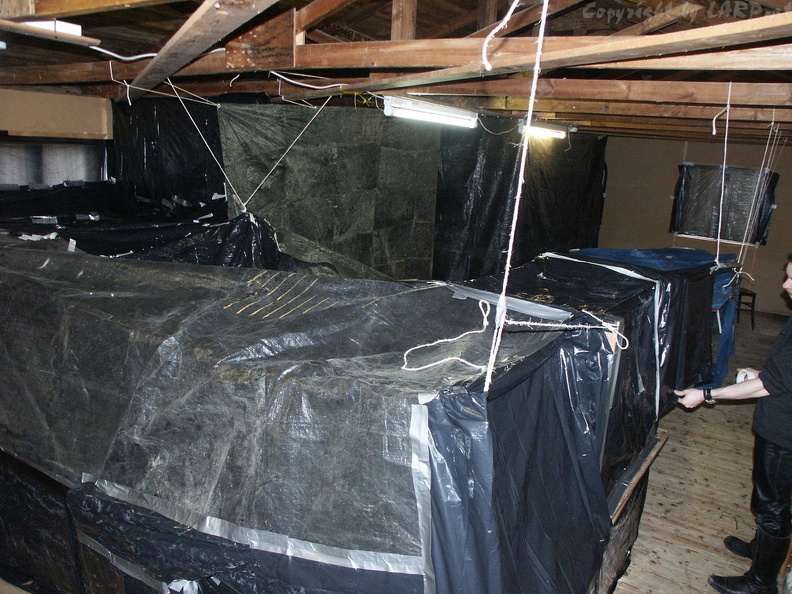 PICT0001.JPG